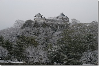 big_yuki_wakayamajyo_20050203