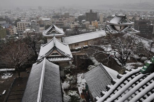 和歌山城・雪.jpg
